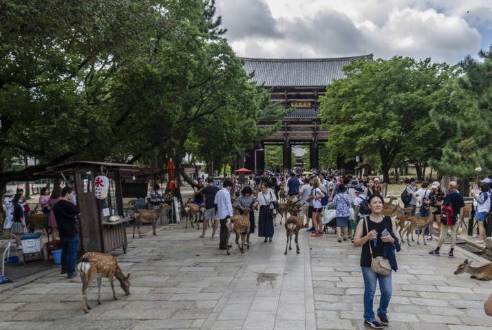 13 - Nara - templo de Todai-ji